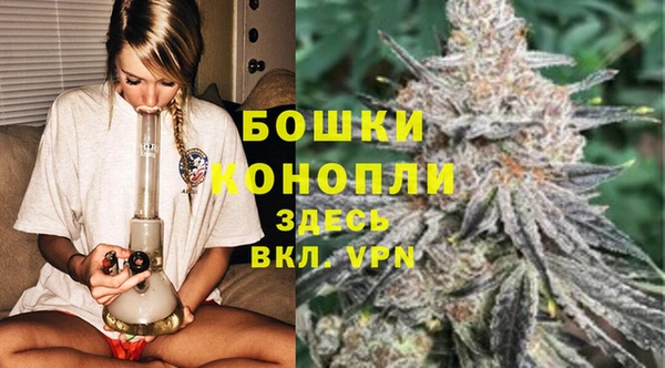 сатива Абаза
