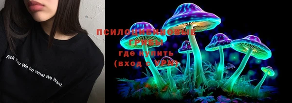 сатива Абаза