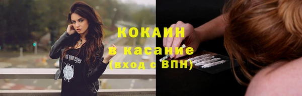 сатива Абаза