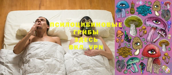 метадон Алексеевка