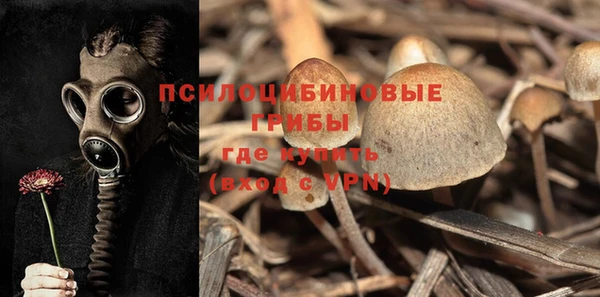 apvp Абдулино
