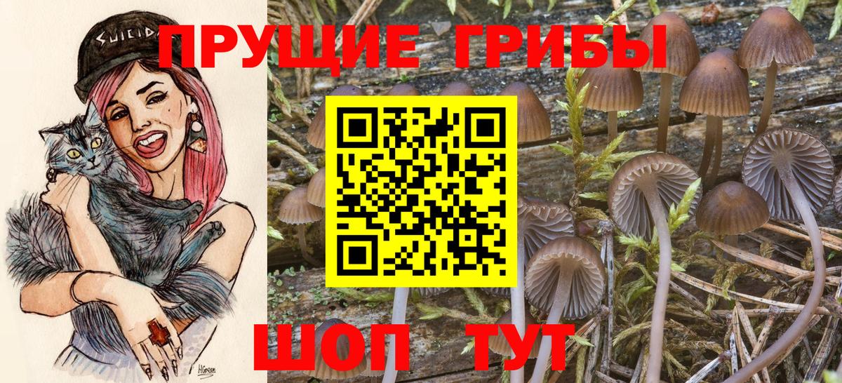 Фурманов  Псилоцибиновые грибы GOLDEN TEACHER  Вход с VPN 